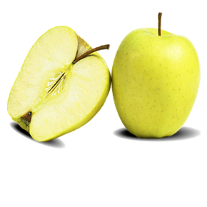 Gala Schniga